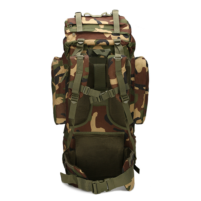 حقيبة ظهر للمشي لمسافات طويلة  - مراجعة Lightweight Backpack 65L وسعره
