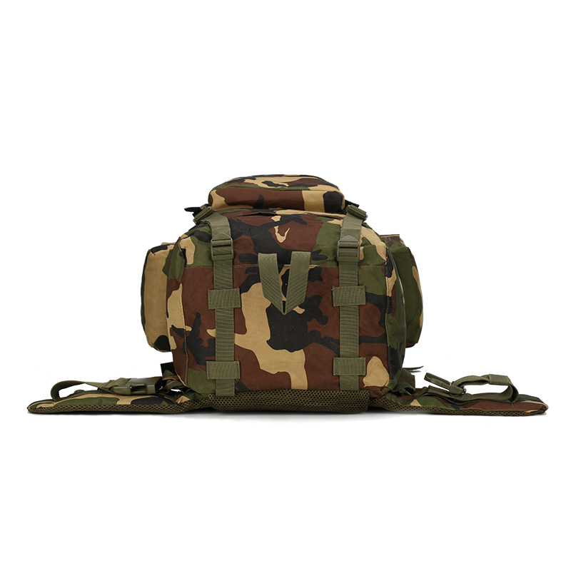 حقيبة ظهر للمشي لمسافات طويلة  - مراجعة Lightweight Backpack 65L وسعره