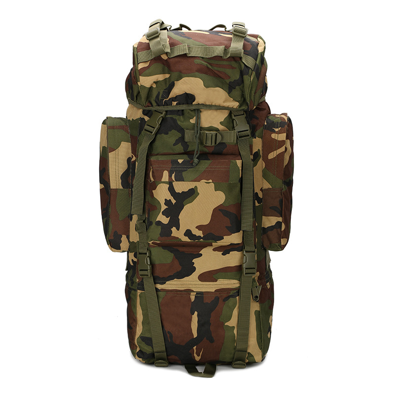 حقيبة ظهر للمشي لمسافات طويلة  - مراجعة Lightweight Backpack 65L وسعره