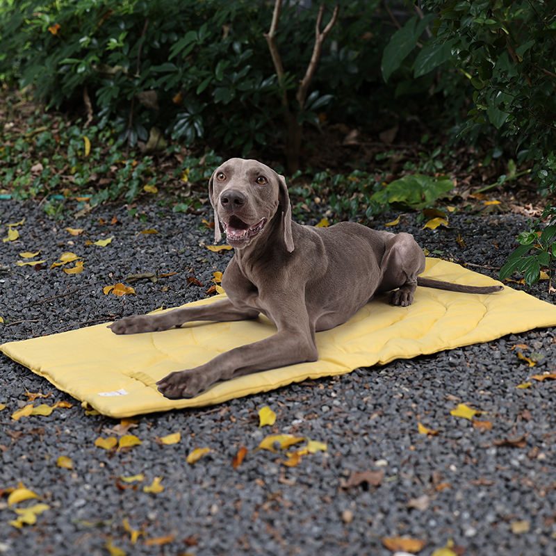 حصيرة الحيوانات الأليفة المحمو - مراجعة Outdoor Camping Rugs وسعره